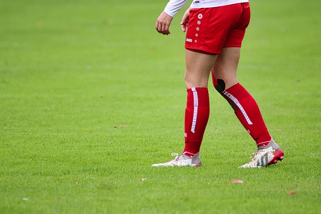 场比赛的亮 场比赛的亮