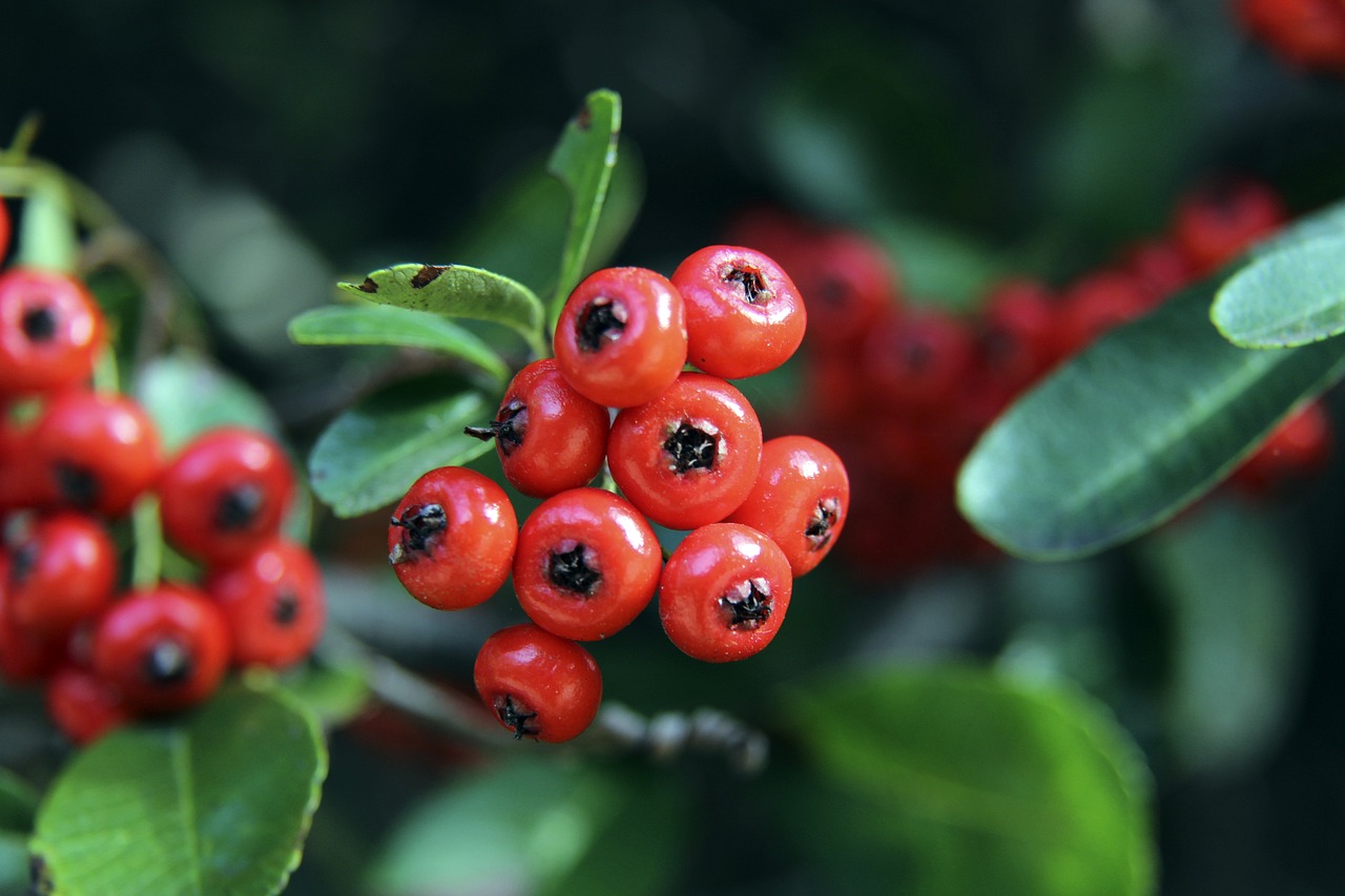 經開始思考 經開始思考