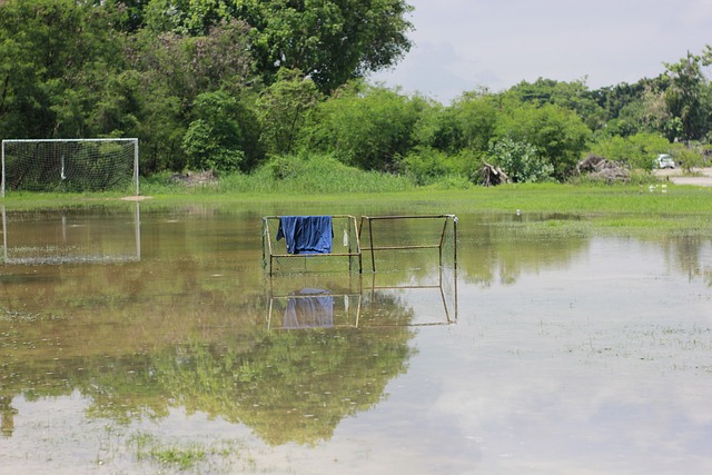 看看以下几 看看以下几