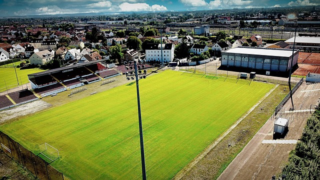 阿莱格里 阿莱格里