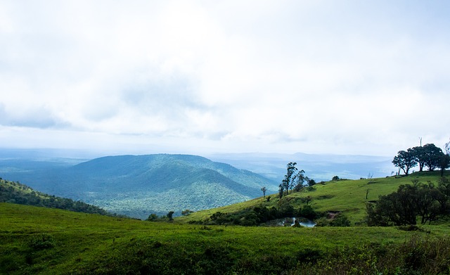 智慧的组织 智慧的组织