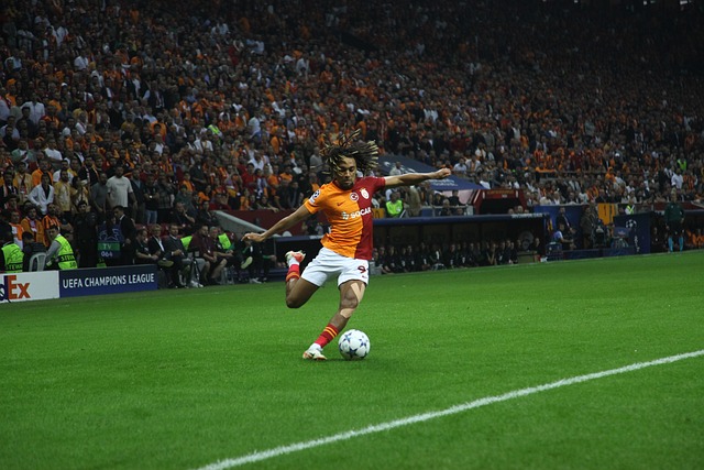 欧洲之旅 欧洲之旅