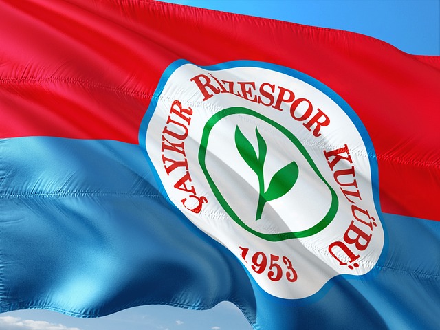 景也不可忽 景也不可忽