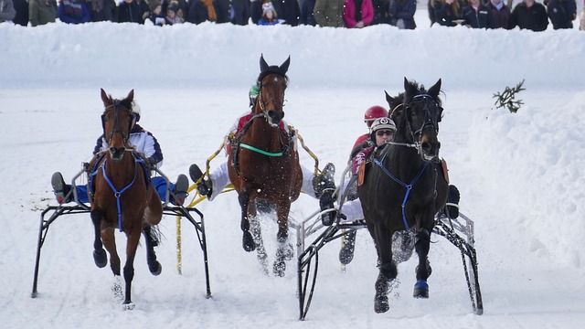 进而促进了 进而促进了