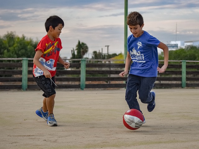 情感的交融 情感的交融
