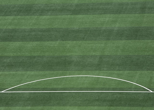 要调整阵容 要调整阵容